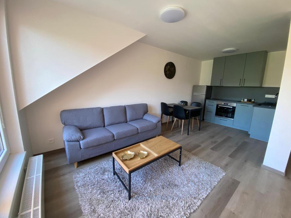 Cerna Ruze- Apartman 5 Pilzno Zewnętrze zdjęcie