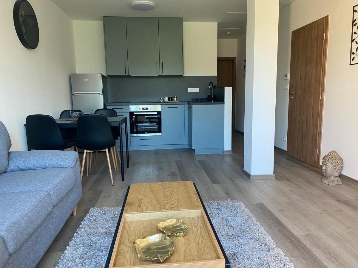 Cerna Ruze- Apartman 5 Pilzno Zewnętrze zdjęcie