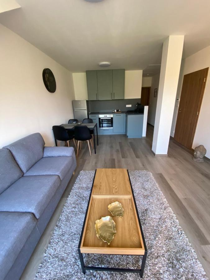 Cerna Ruze- Apartman 5 Pilzno Zewnętrze zdjęcie