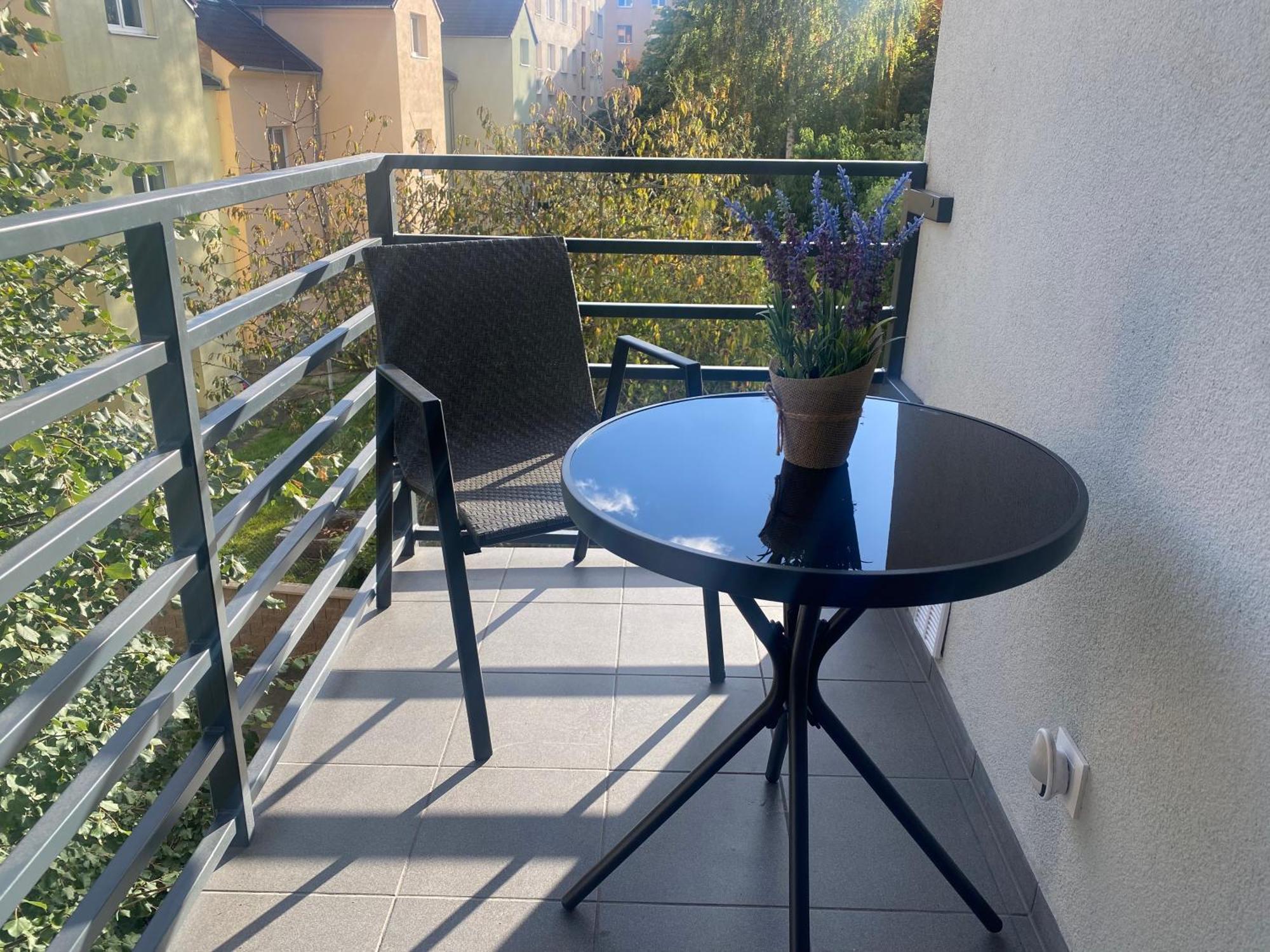 Cerna Ruze- Apartman 5 Pilzno Zewnętrze zdjęcie